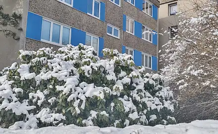 Prodej bytu 4+1 72 m², Ostravská, Liberec - Liberec XIV-Ruprechtice