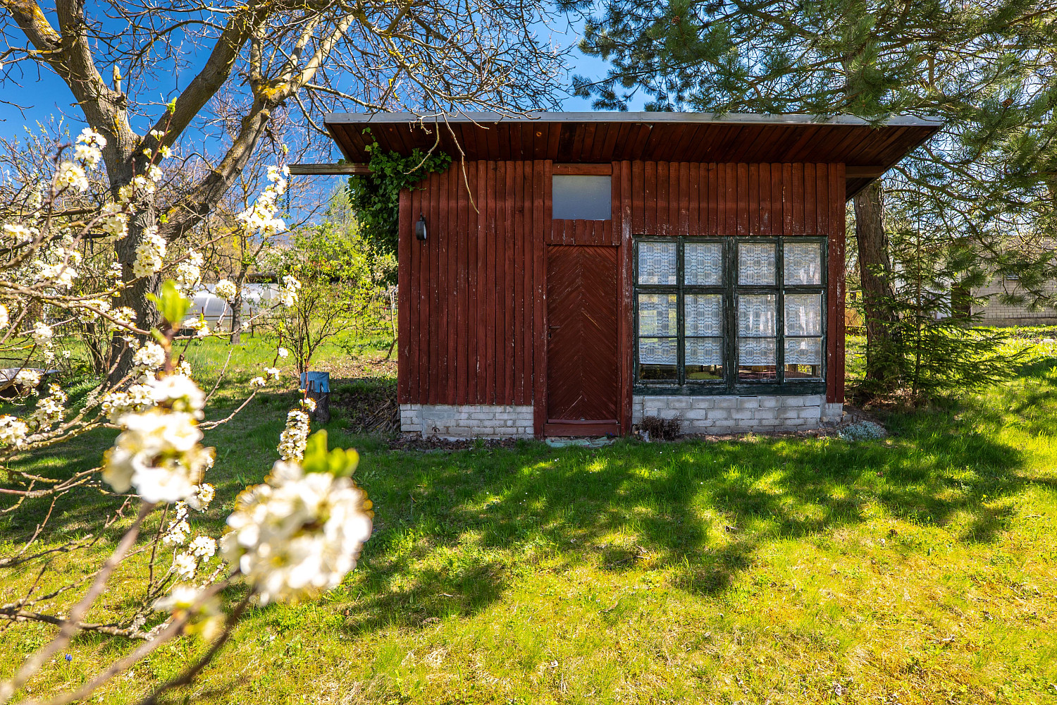 Prodej zahrady 707 m² - Widok 6
