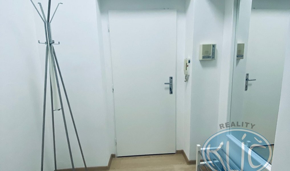 Pronájem bytu 2+kk 55 m², Tábor – náhled fotky 11