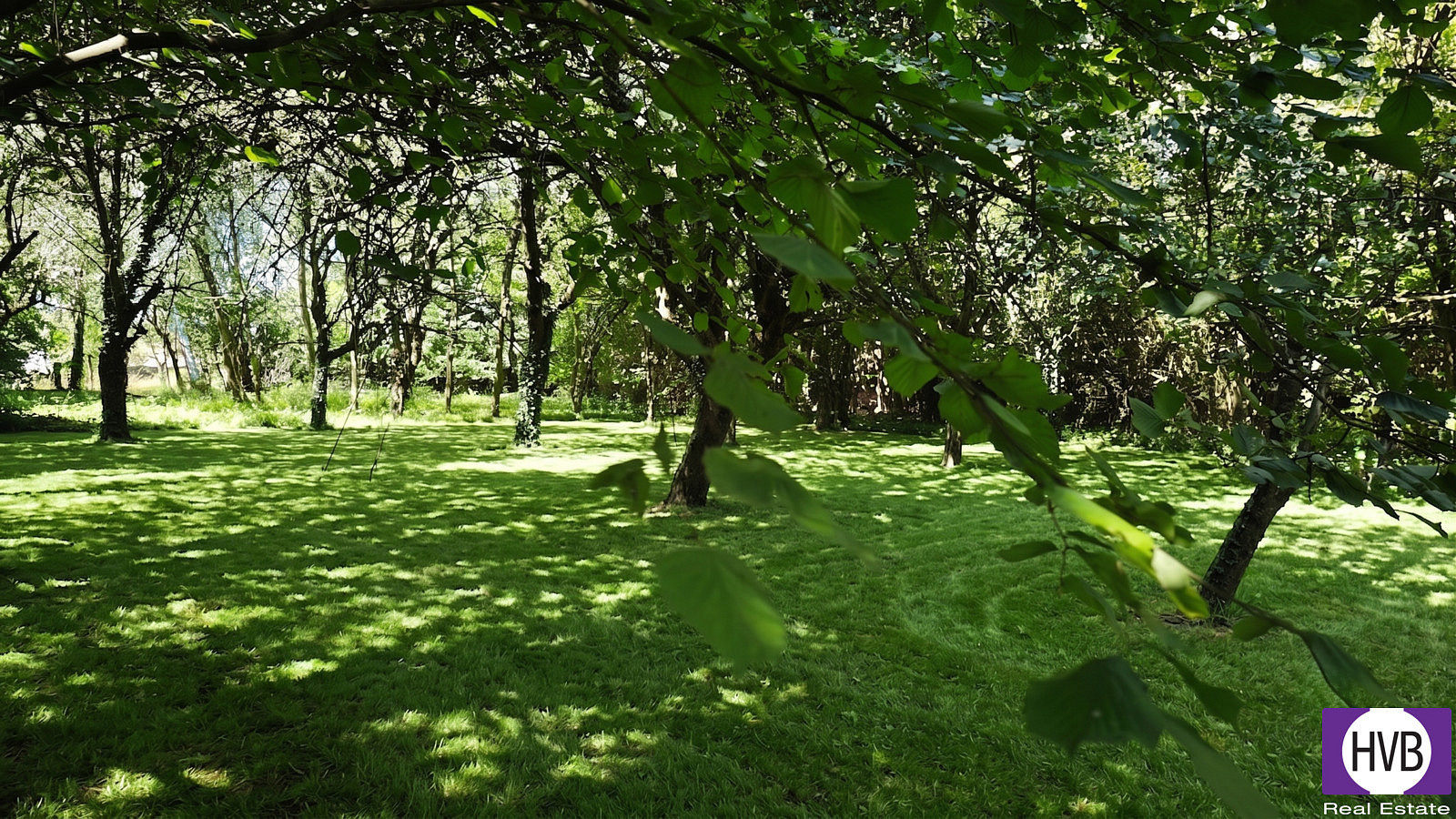 Prodej domu 105 m² s pozemkem 3 999 m² — photo 4