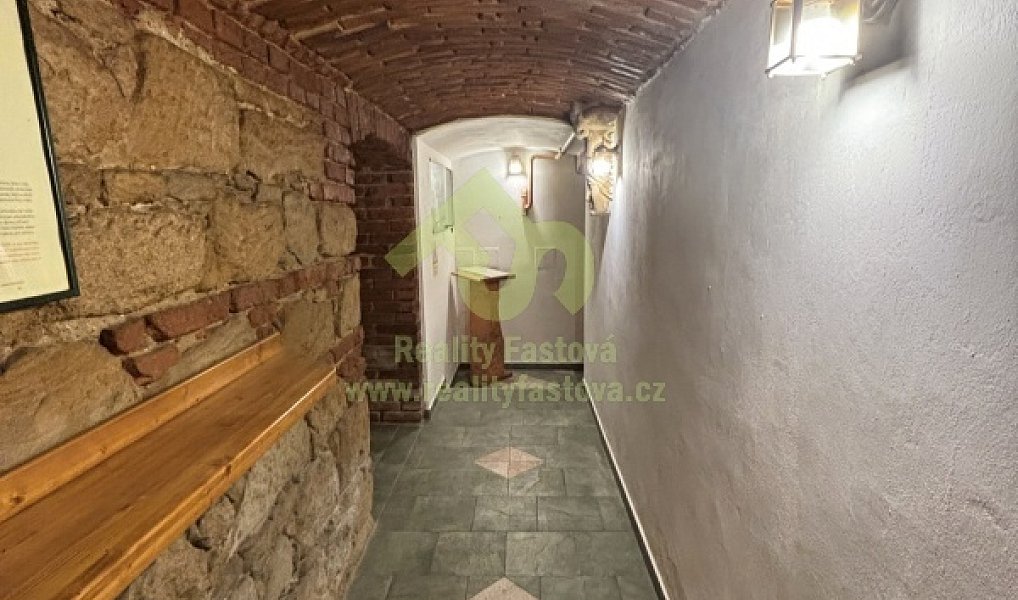 Prodej domu 776 m² s pozemkem 192 m², Plzeň – náhled fotky 25