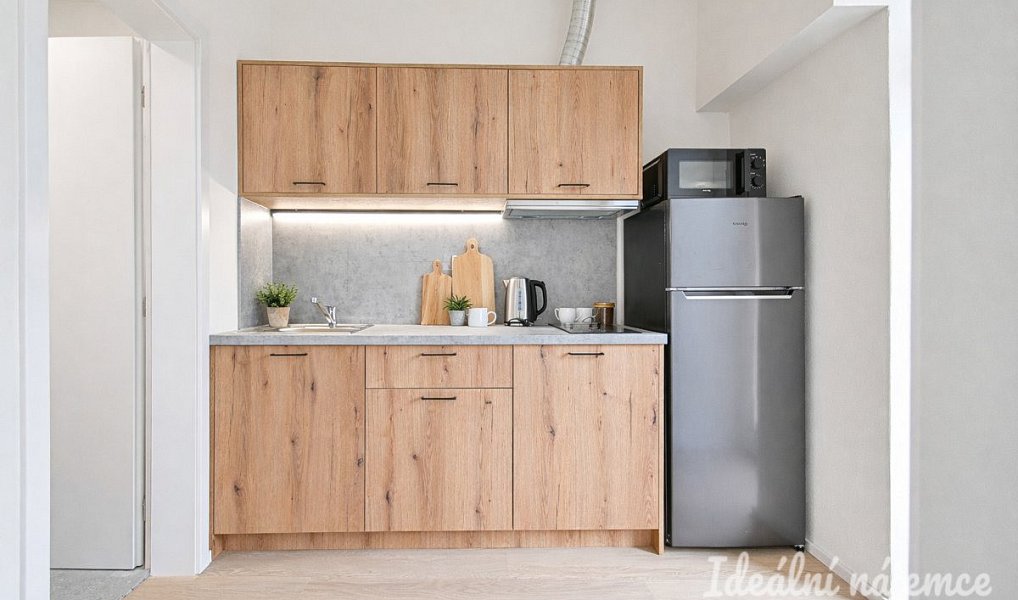 Pronájem bytu 1+1, 25 m², Židenice - Brno-město, Brno