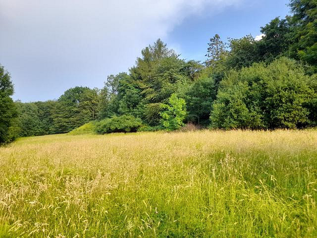 Pronájem pole 510 m²