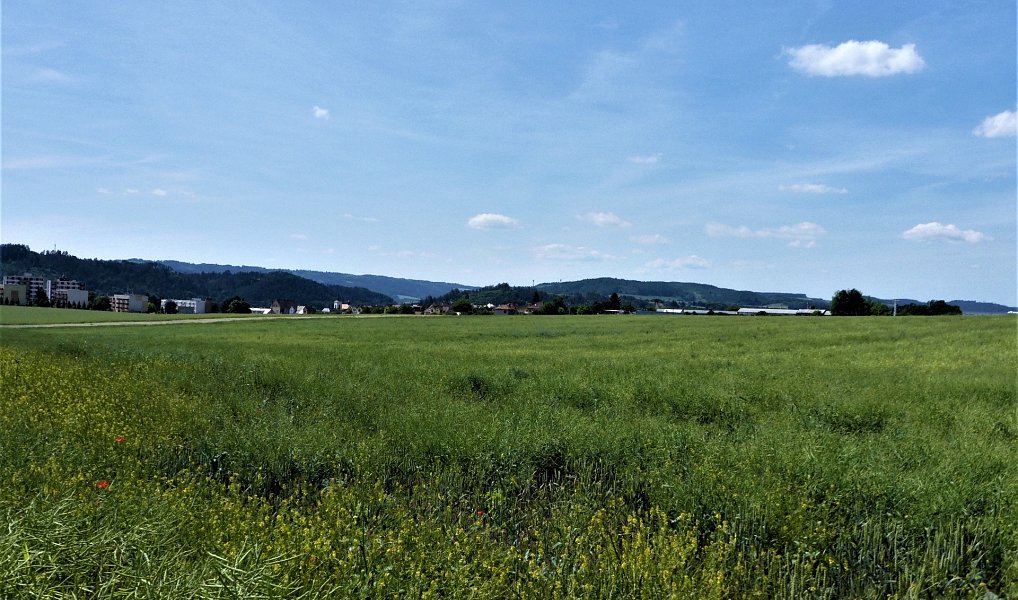 Prodej pole 7 225 m², Letovice – fotka 1 z 9