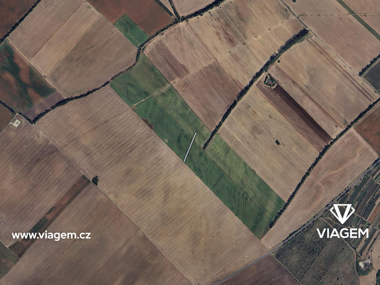 Prodej pole 1 155 m² – fotografie 3