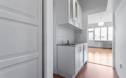 Pronájem bytu 1+kk 28 m², Pod Slovany, Praha 2 - Nové Město