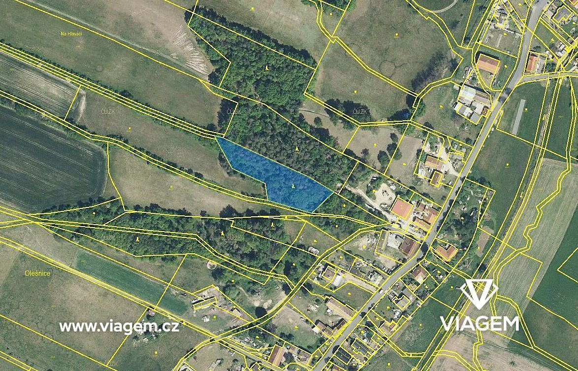 Prodej lesa 292 m² – fotografie 3