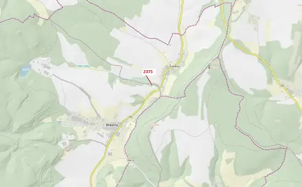 Dražba lesa 303 m², Březina