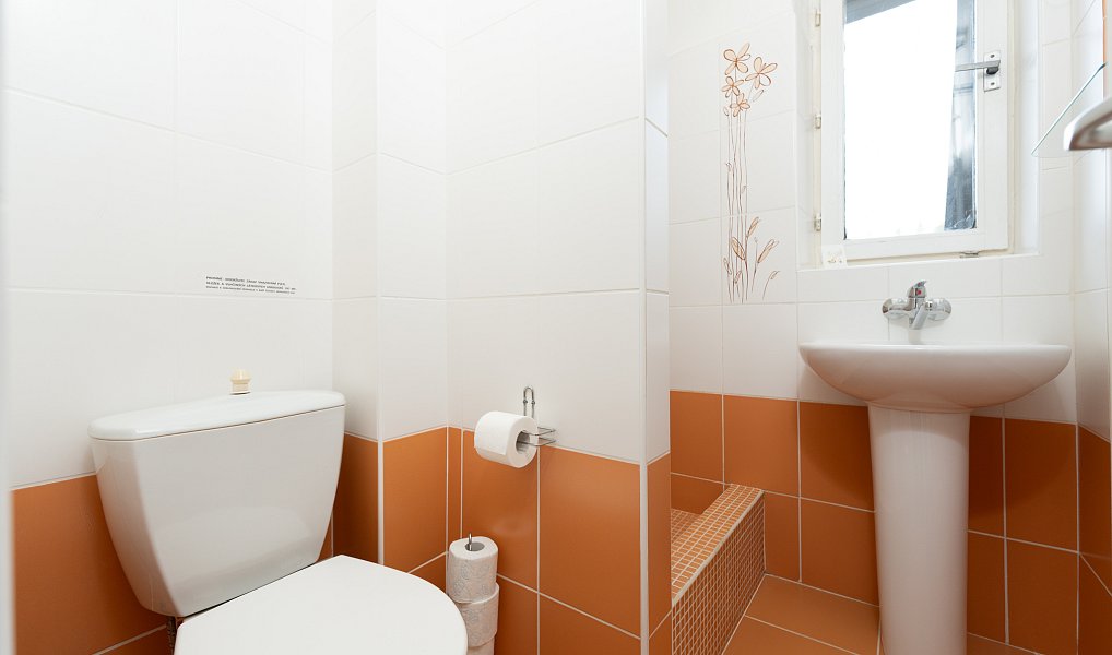 Prodej ubytovacího objektu 455 m², Malá Morávka – náhled fotky 15