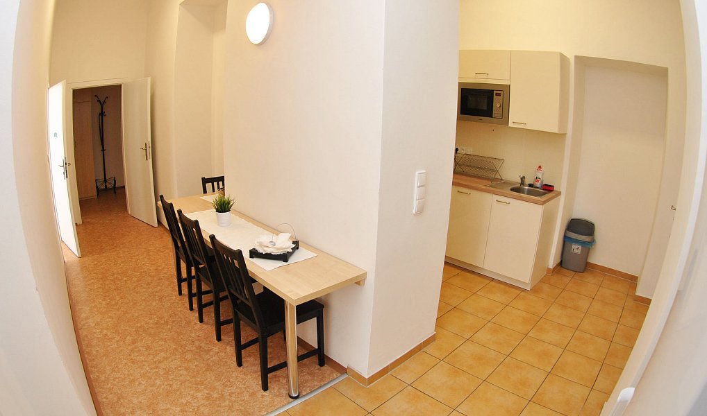 Pronájem pokoje 75 m², Brno – náhled fotky 16