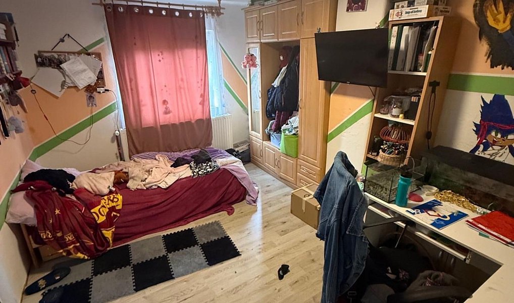 Prodej domu 430 m² s pozemkem 845 m², Němětice – náhled fotky 10