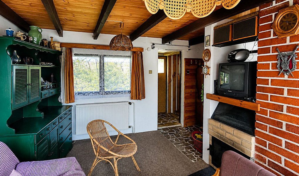 Prodej chaty/chalupy 50 m² s pozemkem 215 m², Borotice – náhled fotky 5