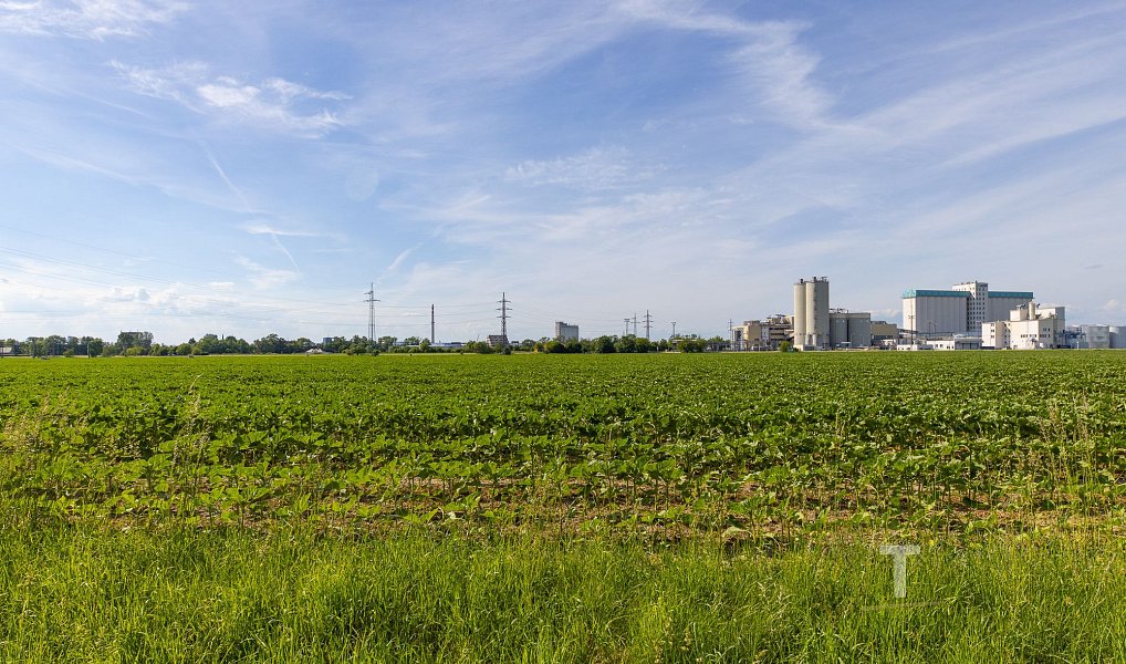 Prodej komerčního pozemku 147 116 m², Olomouc – náhled fotky 3