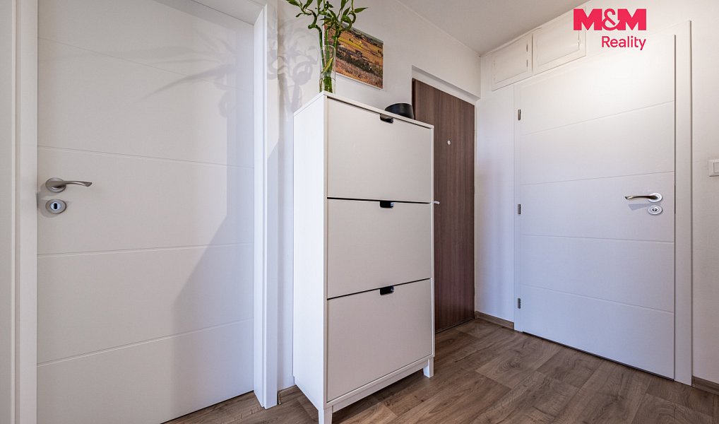 Prodej bytu 3+kk 55 m², Praha – náhled fotky 11