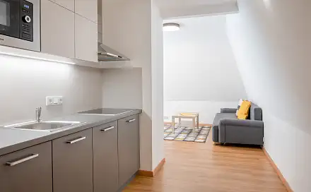 Pronájem bytu 1+kk 42 m²