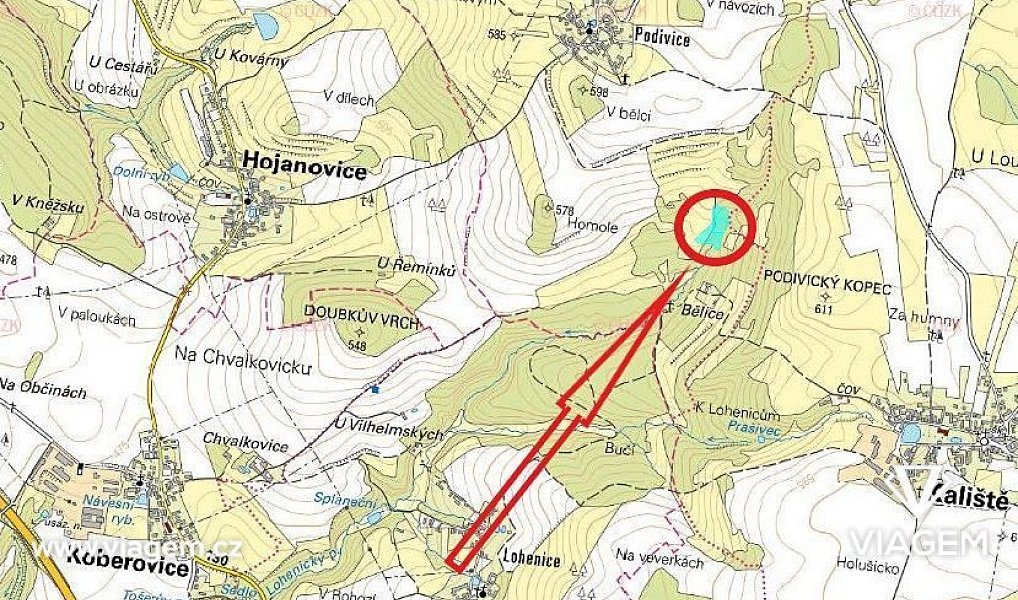 Prodej lesa 2 503 m², Kaliště – náhled fotky 5