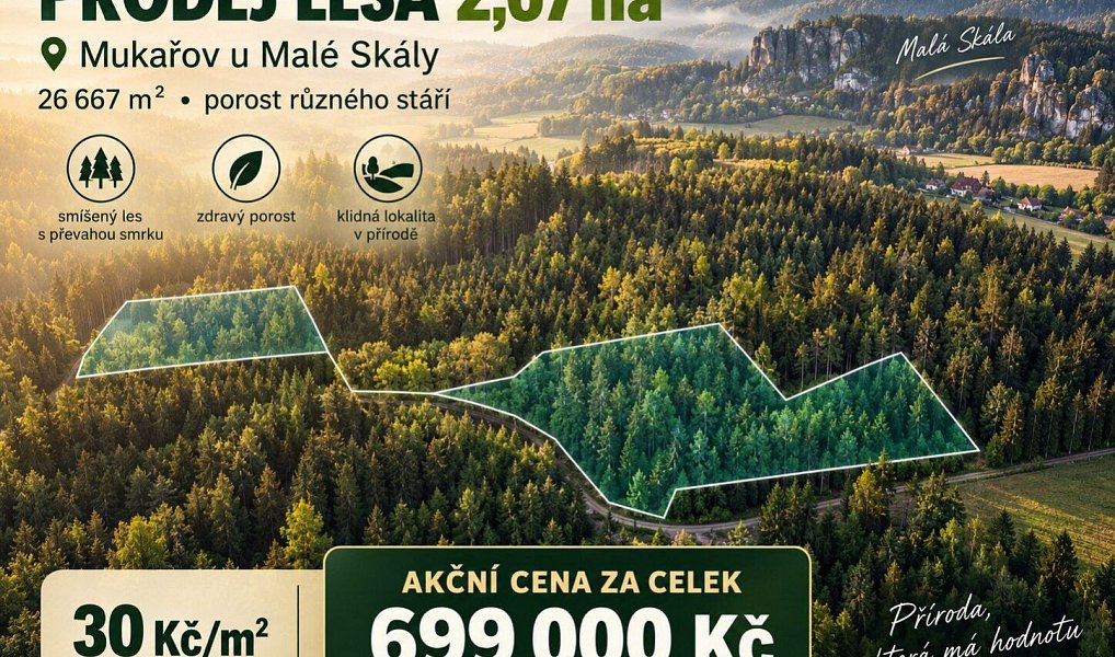 Prodej lesa 26 667 m², Malá Skála – fotka 1 z 3