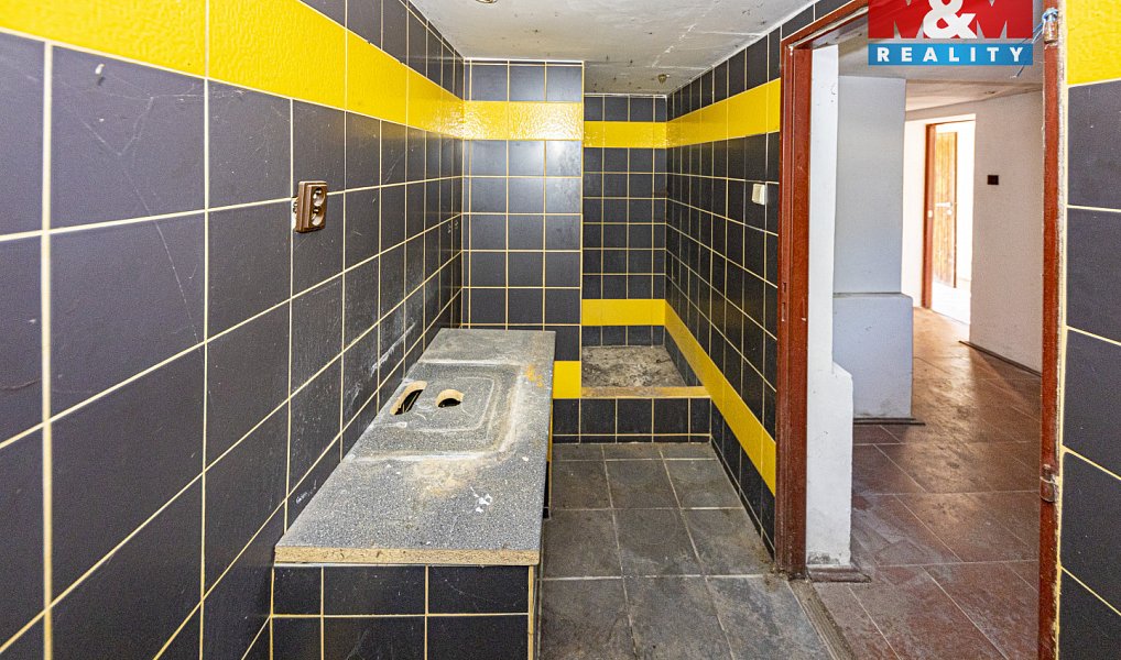 Prodej domu 170 m² s pozemkem 1 774 m², Lošany – náhled fotky 19