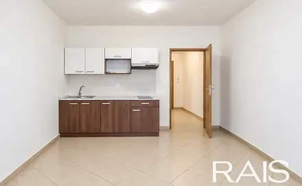 Prodej bytu 1+kk 30 m², Svitavská, Brno - Husovice