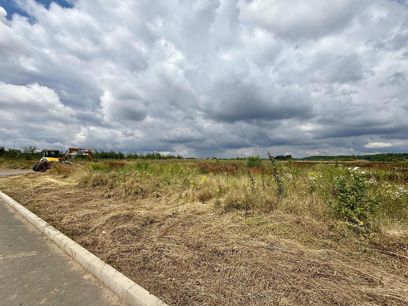 Prodej komerčního pozemku 5 000 m² — photo 4