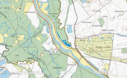 Prodej lesa 1 692 m², Ladná, okres Břeclav
