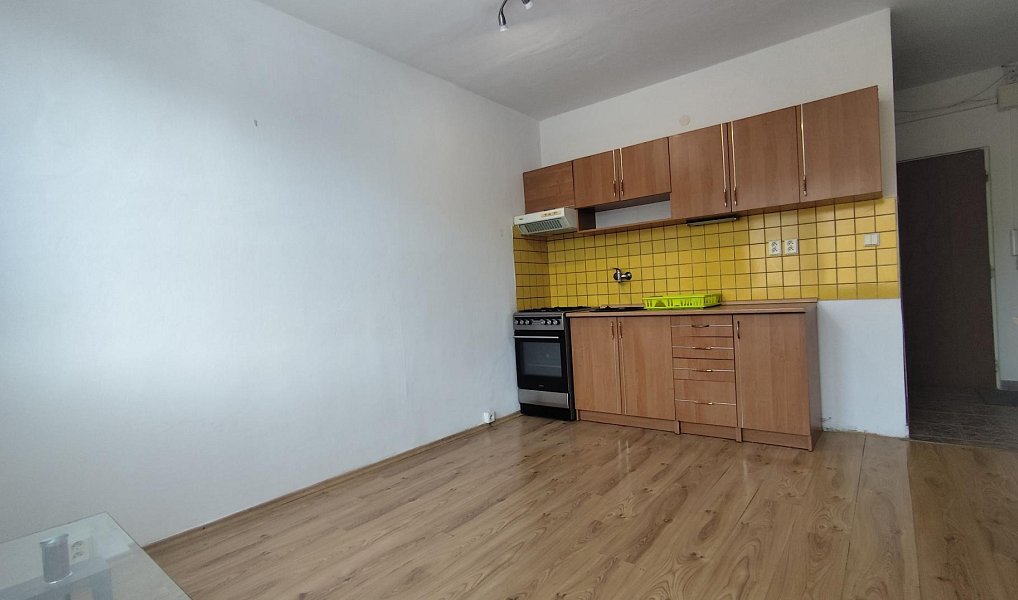 Prodej bytu 1+1 35 m², Žatec – náhled fotky 5
