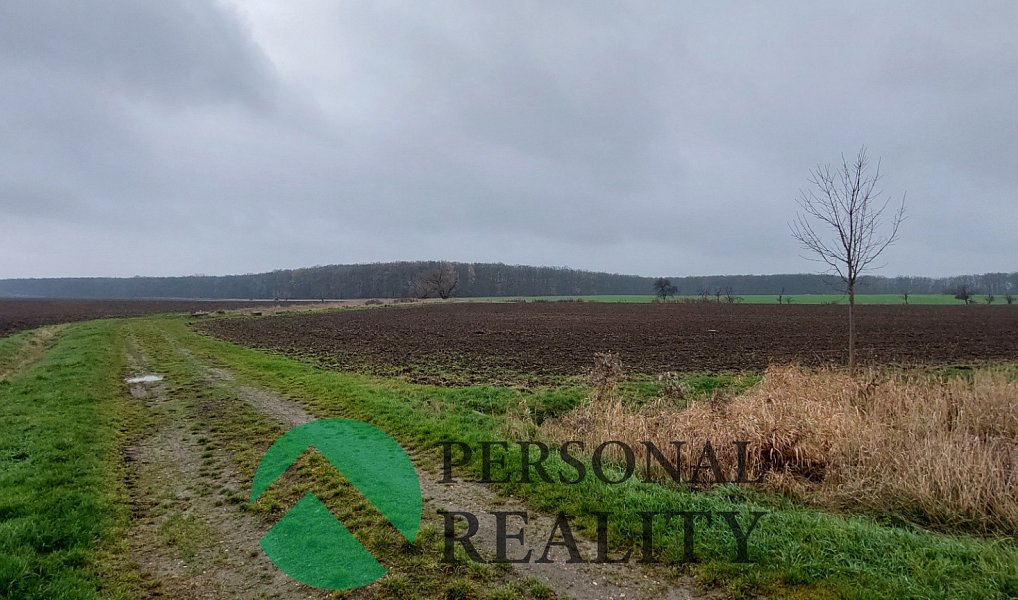 Prodej pole 3 093 m², Lodín – náhled fotky 6