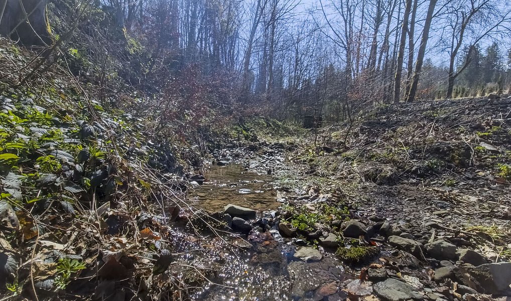 Prodej stavebního pozemku 5 025 m², Horní Bečva – náhled fotky 17