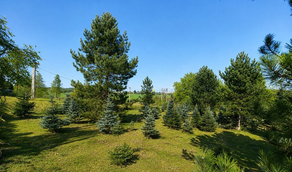 Prodej stavebního pozemku 971 m², Popůvky – náhled fotky 10