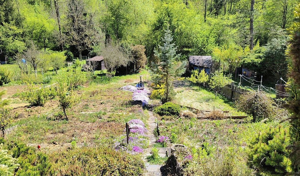 Prodej chaty/chalupy 16 m² s pozemkem 402 m², Tršice – náhled fotky 4
