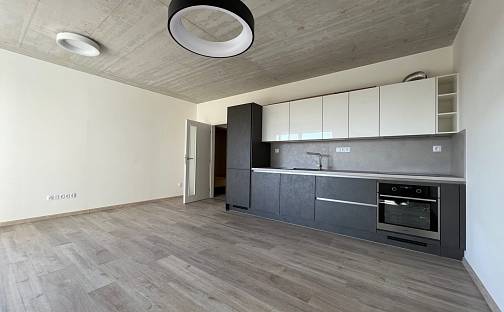 Pronájem bytu 1+kk 39 m², O. Nedbala, České Budějovice - České Budějovice 2
