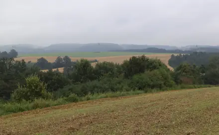 Dražba louky 1 834 m², Radkov