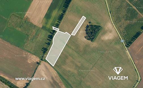 Prodej pole 2 895 m², Horušice, okres Kutná Hora