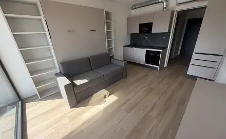 Pronájem bytu 1+kk 23 m², Trýbova, Brno - Staré Brno