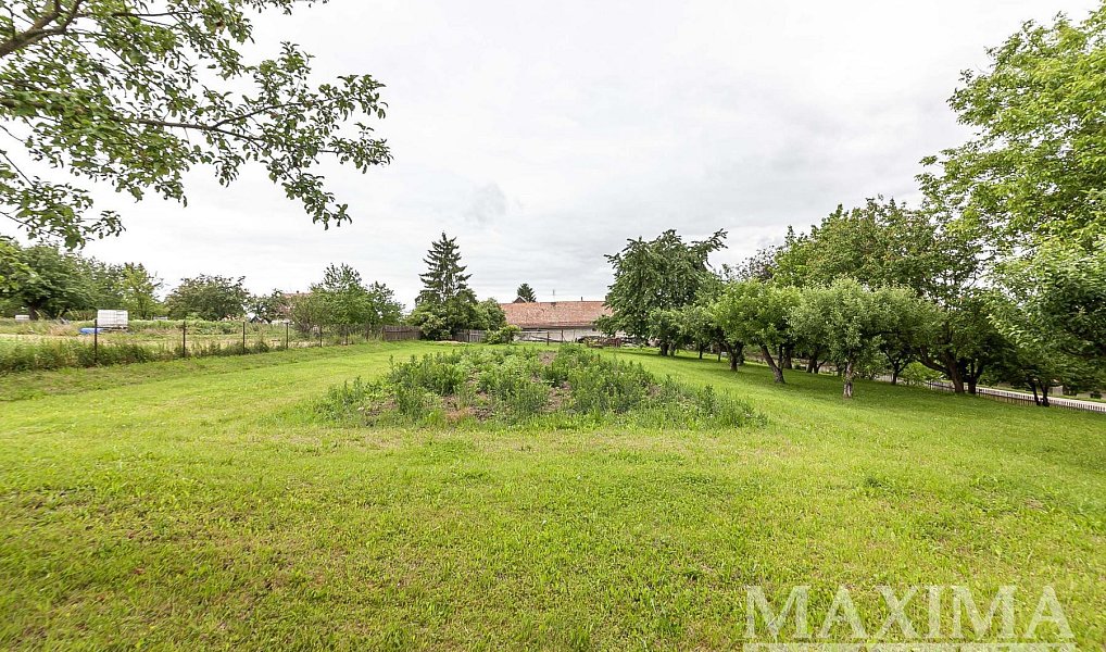 Prodej stavebního pozemku 1 372 m², Běchary – náhled fotky 9