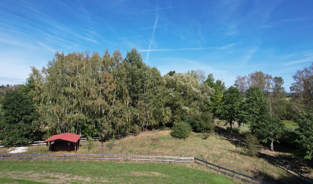 Prodej pozemku 1 427 m², Bor – fotka 1 z 14