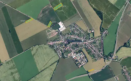 Prodej pole 9 890 m², Olšany u Prostějova, okres Prostějov