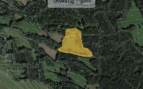 Prodej louky 2 938 m², Velká nad Veličkou, okres Hodonín