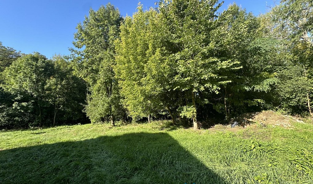 Prodej domu 300 m² s pozemkem 1 026 m², Jaroslavice – náhled fotky 4