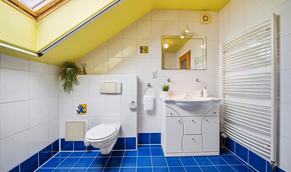 Prodej domu 267 m² s pozemkem 1 071 m², Albrechtice nad Orlicí – náhled fotky 13