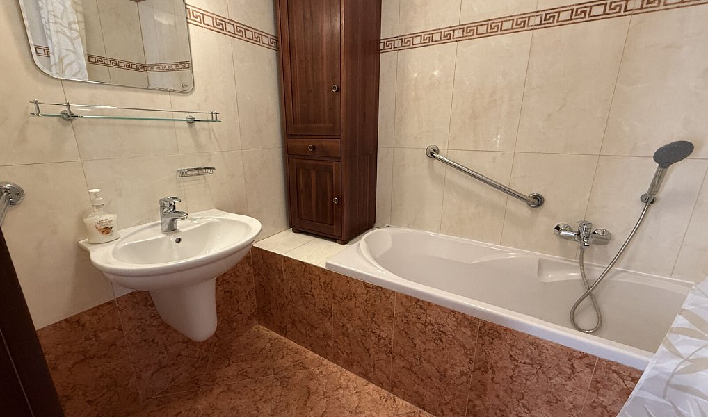 Pronájem bytu 2+1 65 m², Praha – náhled fotky 9