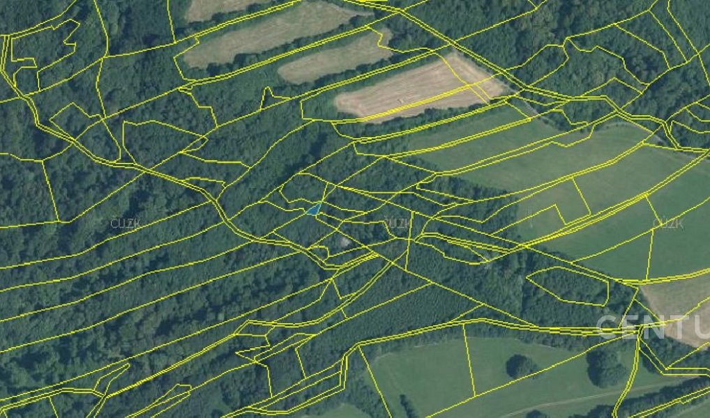 Prodej lesa 40 228 m², Nový Jičín – náhled fotky 13