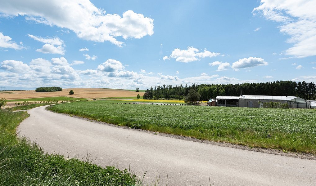 Prodej komerčního objektu (jiného typu) 956 m², Miřetice – náhled fotky 24