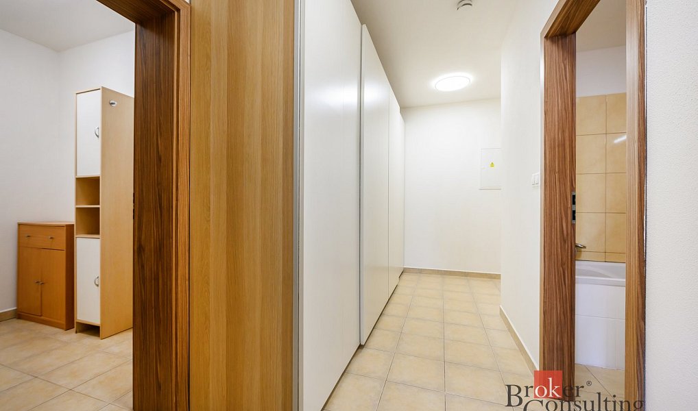 Pronájem bytu 2+kk 59 m², Plzeň – náhled fotky 12