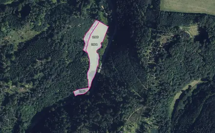 Prodej louky 10 311 m², Městečko Trnávka, okres Svitavy
