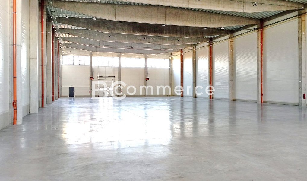 Pronájem výrobních prostor 1 481 m², Holubice – náhled fotky 3