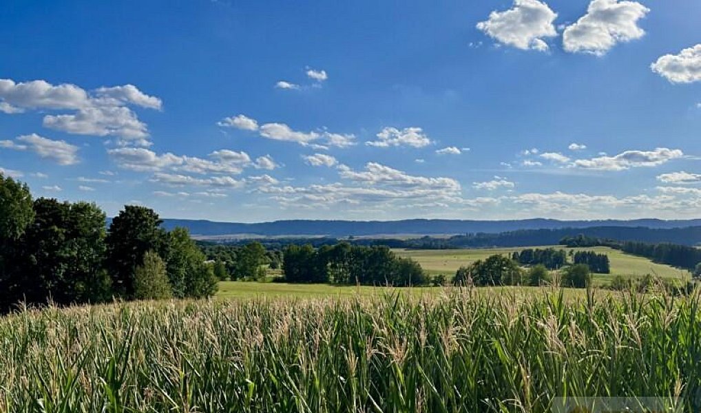 Prodej stavebního pozemku 3 146 m², Broumov – náhled fotky 6