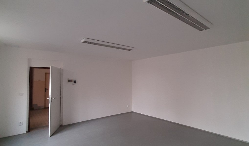 Pronájem komerčního objektu (jiného typu) 50 m², Lužany – náhled fotky 4