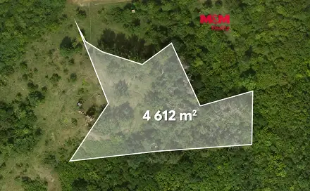 Prodej lesa 8 199 m², Libochovice - Dubany, okres Litoměřice