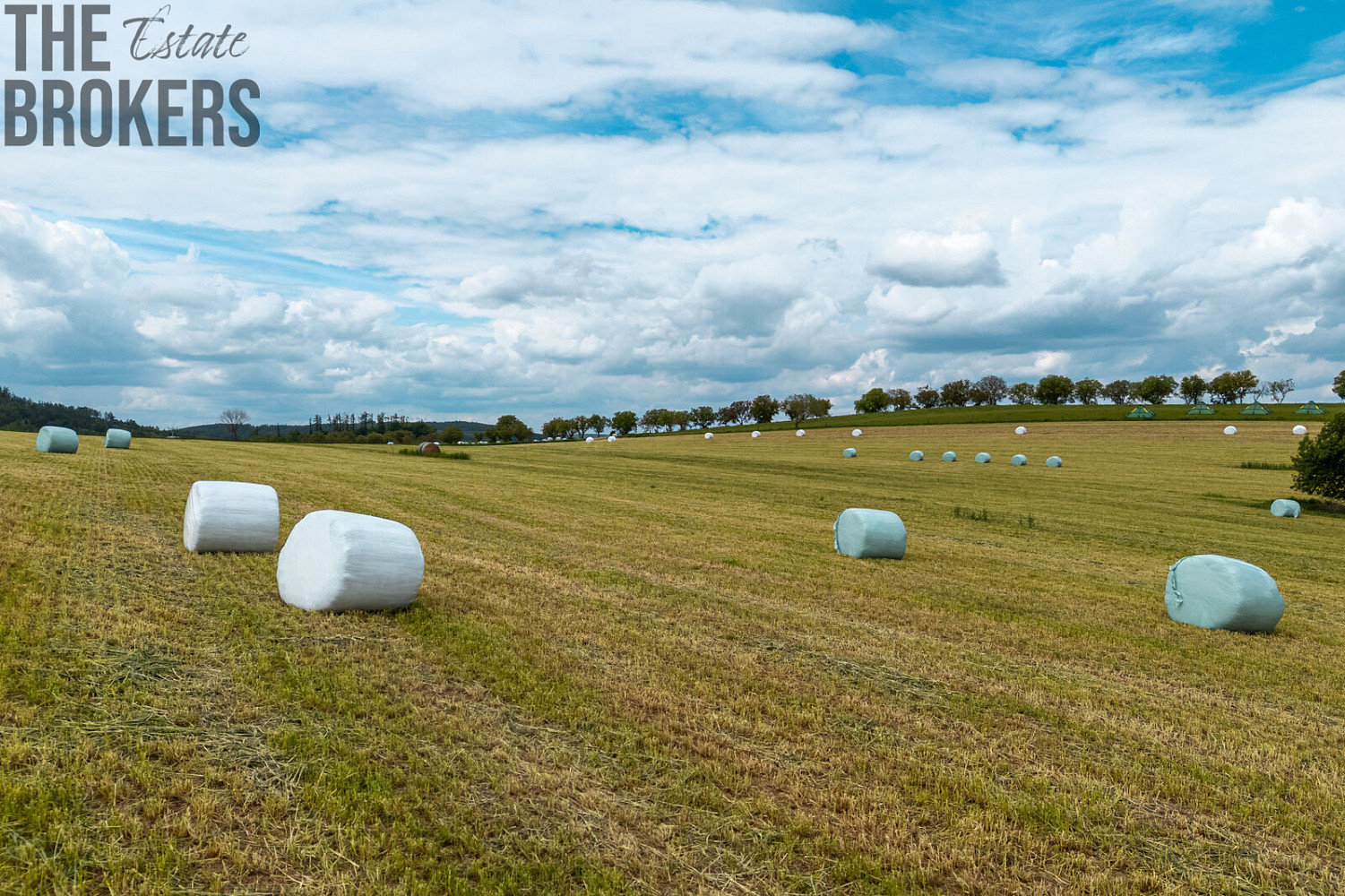 Prodej pole 29 192 m² – fotografie 4